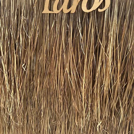 Maison d'hôtes Athina - Lounge