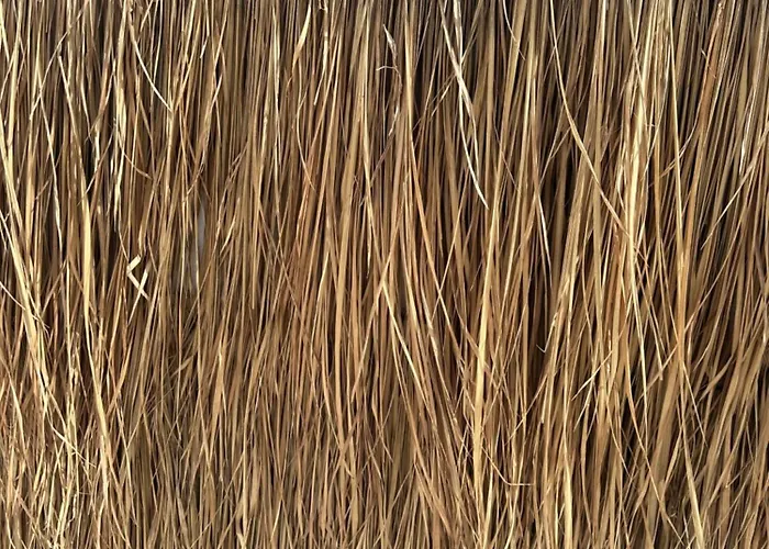 Guest house Athina Rooms - Lounge Apartments